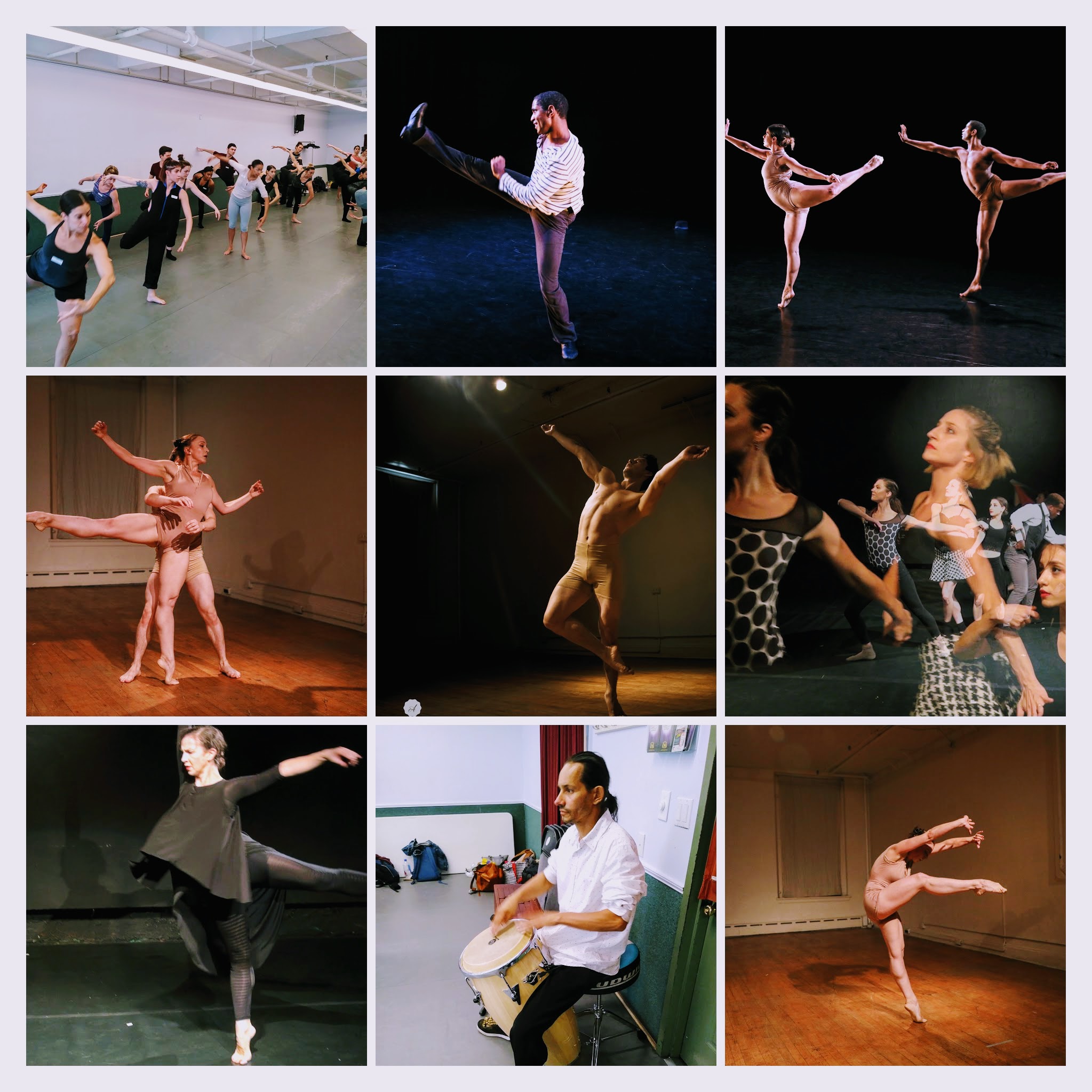 2017 Through a Fine Veil